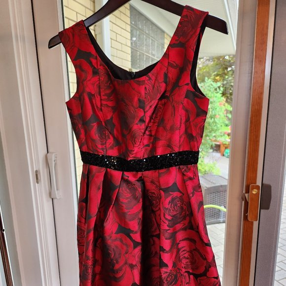 Donna Ricco Silky Red Party Dress - Picture 1 of 4